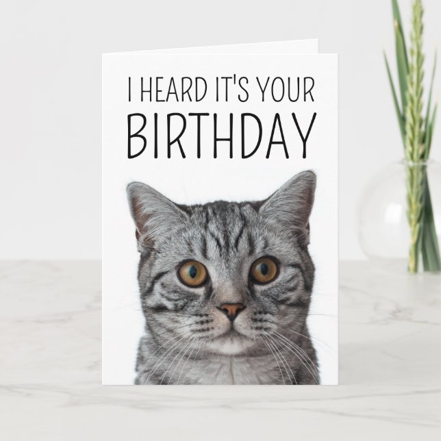 Tarjeta Cumpleaños | Cara británica de gato de Shorthair (Anverso)