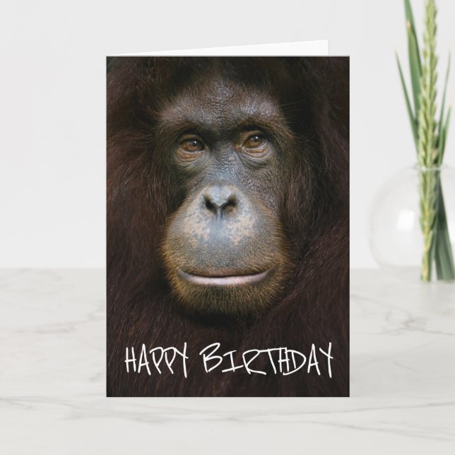 Tarjeta Cumpleaños | Cara de Orangutan (Anverso)