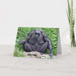 Tarjeta Cumpleaños Chimpanzee