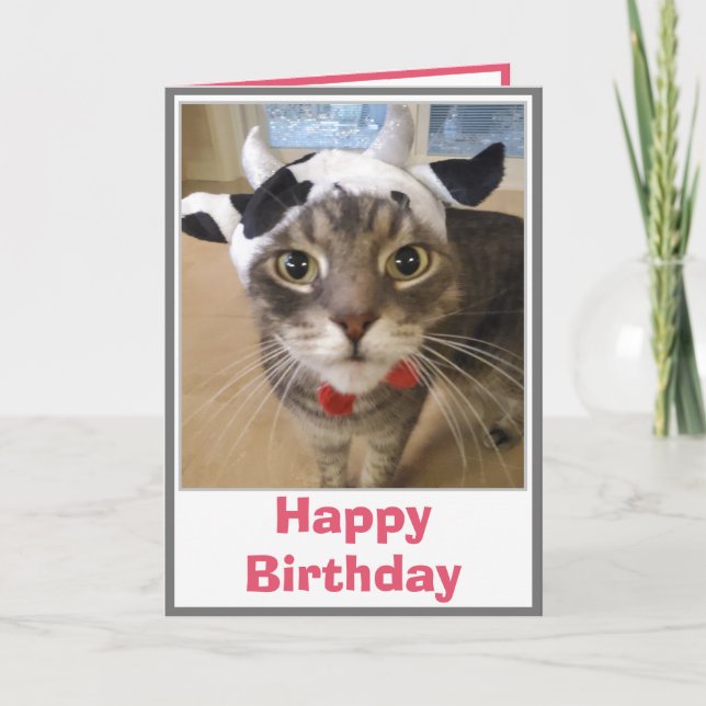 Tarjeta Cumpleaños chistoso de gato vaca (Anverso)