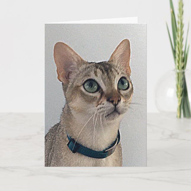 Tarjeta Cumpleaños con disculpas sarcásticas del gato (Anverso)