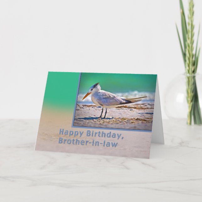 Tarjeta Cumpleaños, cuñado, Royal Tern Bird (Anverso)