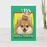 Cumpleaños Cupcake Pomeranian