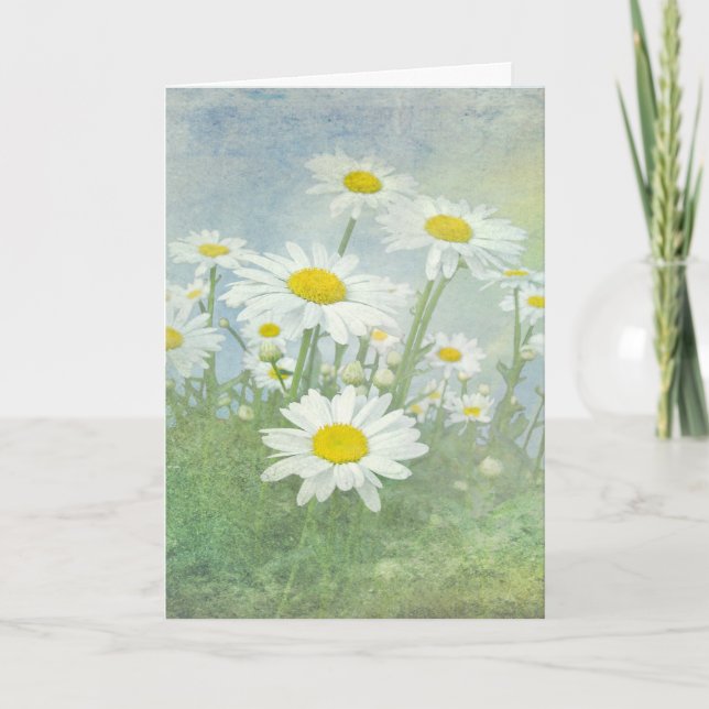 Tarjeta Cumpleaños Daisy Field (Anverso)