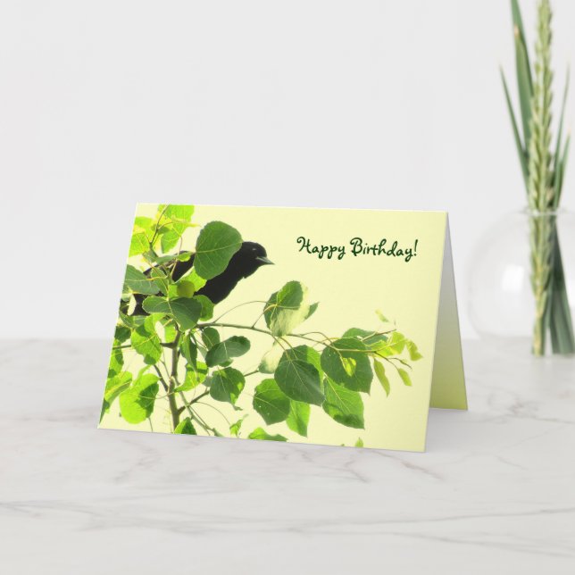 Tarjeta Cumpleaños de Blackbird (Anverso)