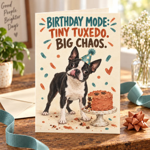 Tarjeta Cumpleaños de Boston Terrier Tiny Tuxedo Big Chaos