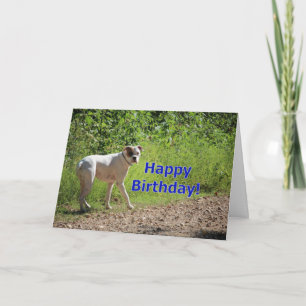Tarjeta cumpleaños de Boxer