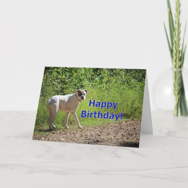 Tarjeta cumpleaños de Boxer (Anverso)