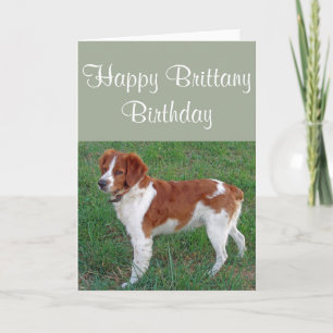 Tarjeta Cumpleaños de Bretaña