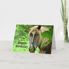 Tarjeta Cumpleaños de Caballo Borrador Belga