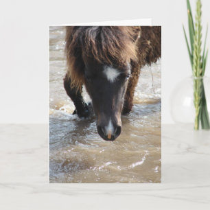 Tarjeta Cumpleaños de caballo nadando