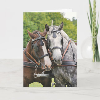Tarjeta Cumpleaños de caballos de clase