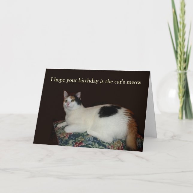 Tarjeta Cumpleaños de Calico Cat (Anverso)