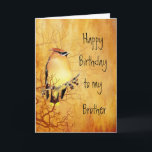 Tarjeta Cumpleaños de cobre caliente de Brother del pájaro<br><div class="desc">Pájaro de cobre caliente l cumpleaños del Waxwing de cedro para su Brother</div>