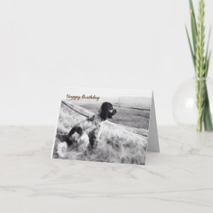 Tarjeta Cumpleaños de Cocker Spaniel