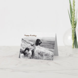 Tarjeta Cumpleaños de Cocker Spaniel