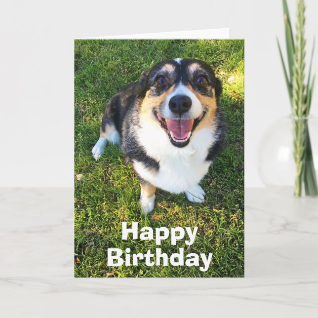 Tarjeta Cumpleaños de Corgi Cute (Anverso)