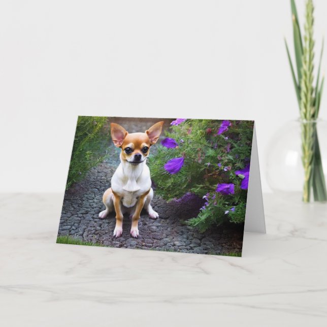 Tarjeta Cumpleaños de Cute Chihuahua (Anverso)