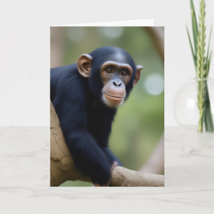Tarjeta Cumpleaños de Cute Chimp