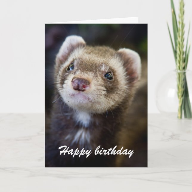 Tarjeta Cumpleaños de Ferret (Anverso)