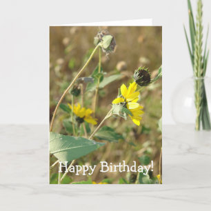 Tarjeta Cumpleaños de Flores Silvestres