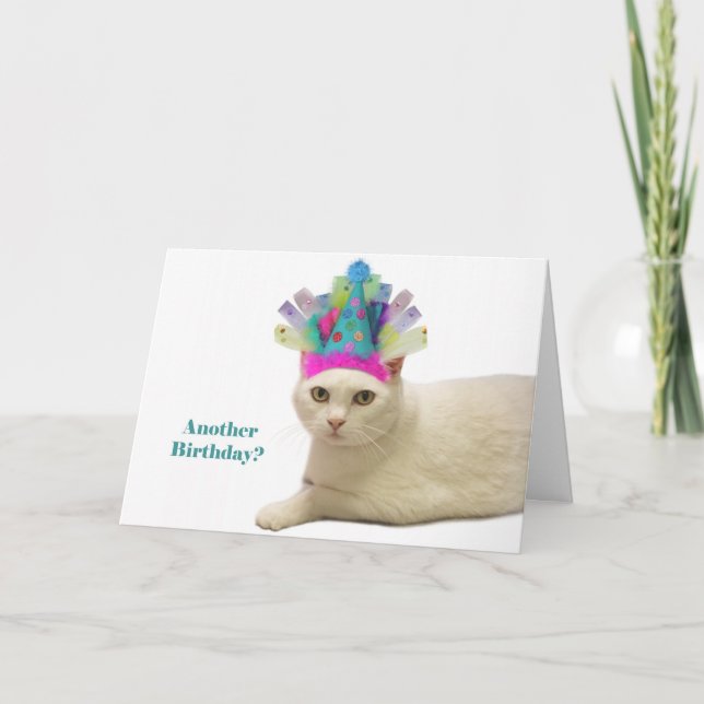 Tarjeta Cumpleaños de Gato Blanco (Anverso)