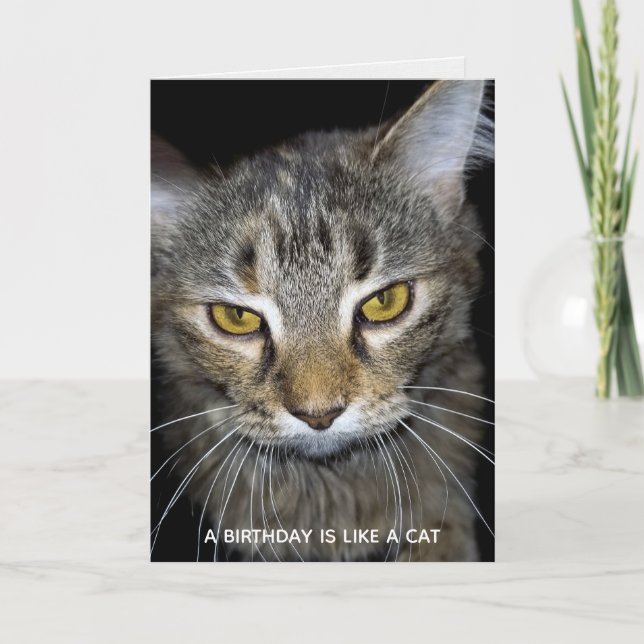 Tarjeta cumpleaños de gato humorístico (Anverso)