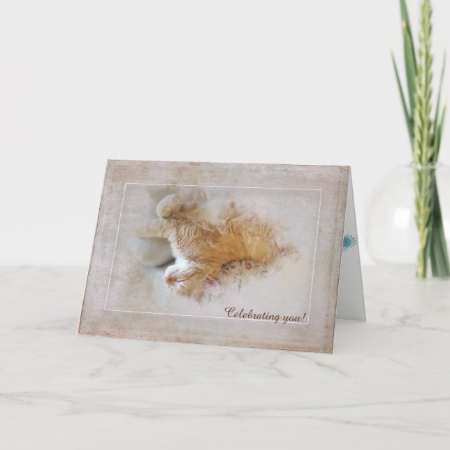 Tarjeta cumpleaños de gato tabby (Anverso)