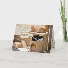 Tarjeta cumpleaños de gatos dormidos