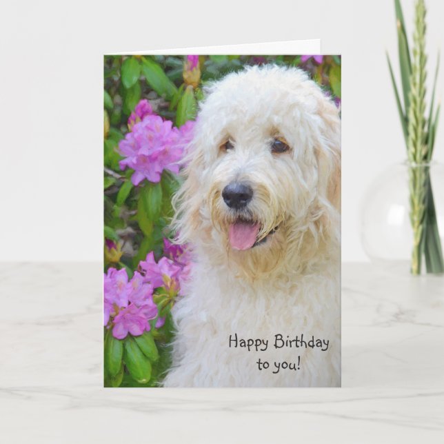 Tarjeta Cumpleaños de Goldendoodle (Anverso)