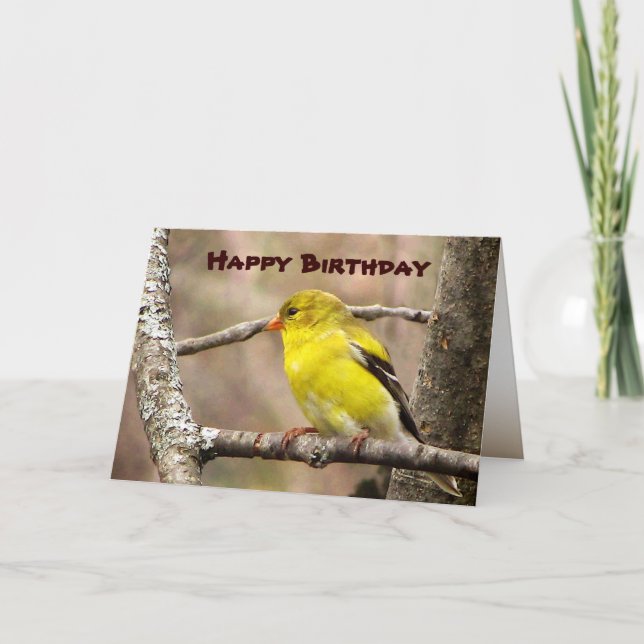 Tarjeta Cumpleaños de Goldfinch (Anverso)