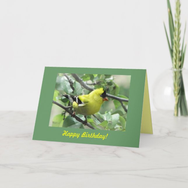 Tarjeta Cumpleaños de Goldfinch (Anverso)
