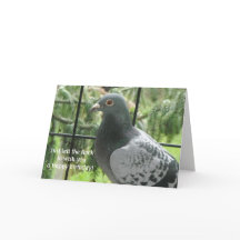 Cumpleaños de Guay Pigeon