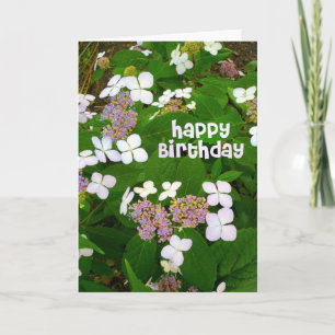 Tarjeta Cumpleaños de Hydrangea Aspera