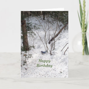 Tarjeta Cumpleaños de Jay Azul