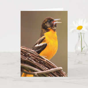 Tarjeta Cumpleaños de Joyful Oriole