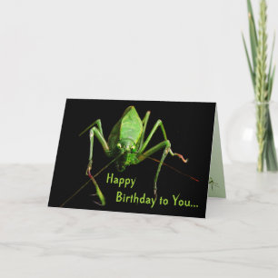 Tarjeta Cumpleaños de Katydid