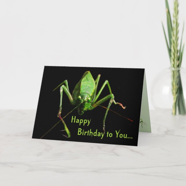 Tarjeta Cumpleaños de Katydid (Anverso)