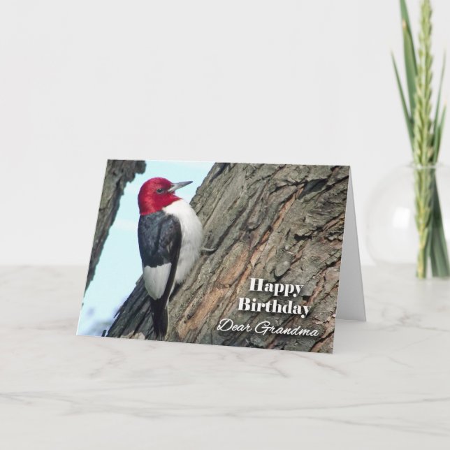 Tarjeta Cumpleaños de la abuela, pájaro carpintero de cabe (Anverso)