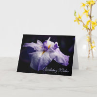 Cumpleaños de la belleza de la flor Iris japonesa