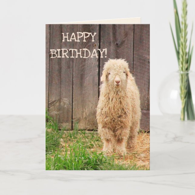 Tarjeta Cumpleaños de la cabra bebé (Anverso)