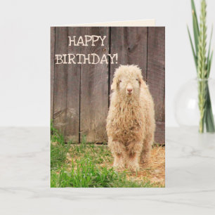 Tarjeta Cumpleaños de la Cabra del Bebé