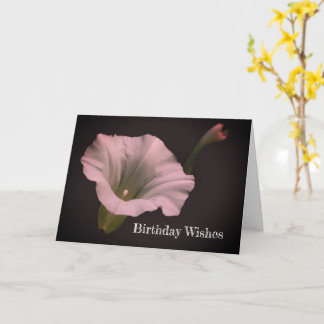 Tarjeta Cumpleaños de la Flor de Gloria de la Mañana Blanc