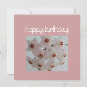 Tarjeta Cumpleaños de la Flor de Hoya Rosa