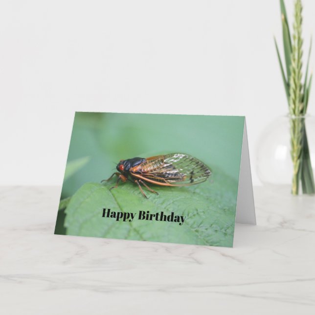Tarjeta Cumpleaños de la Foto Cicada (Anverso)