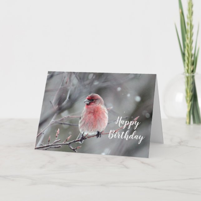 Tarjeta Cumpleaños de la foto de la Red Finch de la bonito (Anverso)