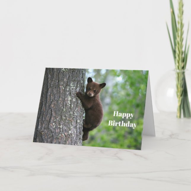 Tarjeta Cumpleaños de la foto del árbol del oso marrón (Anverso)