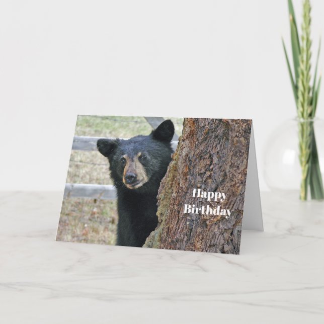 Tarjeta Cumpleaños de la foto del árbol del oso negro (Anverso)