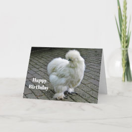 Tarjeta Cumpleaños de la foto del Silkie Blanco Pollo