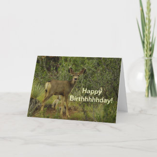 Tarjeta Cumpleaños de la frambuesa del ciervo mula